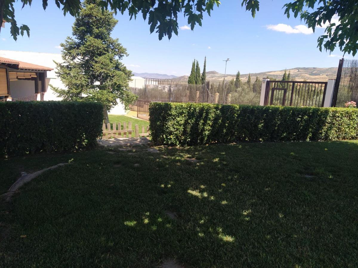 Casa Rural Alamillo Luque Kültér fotó