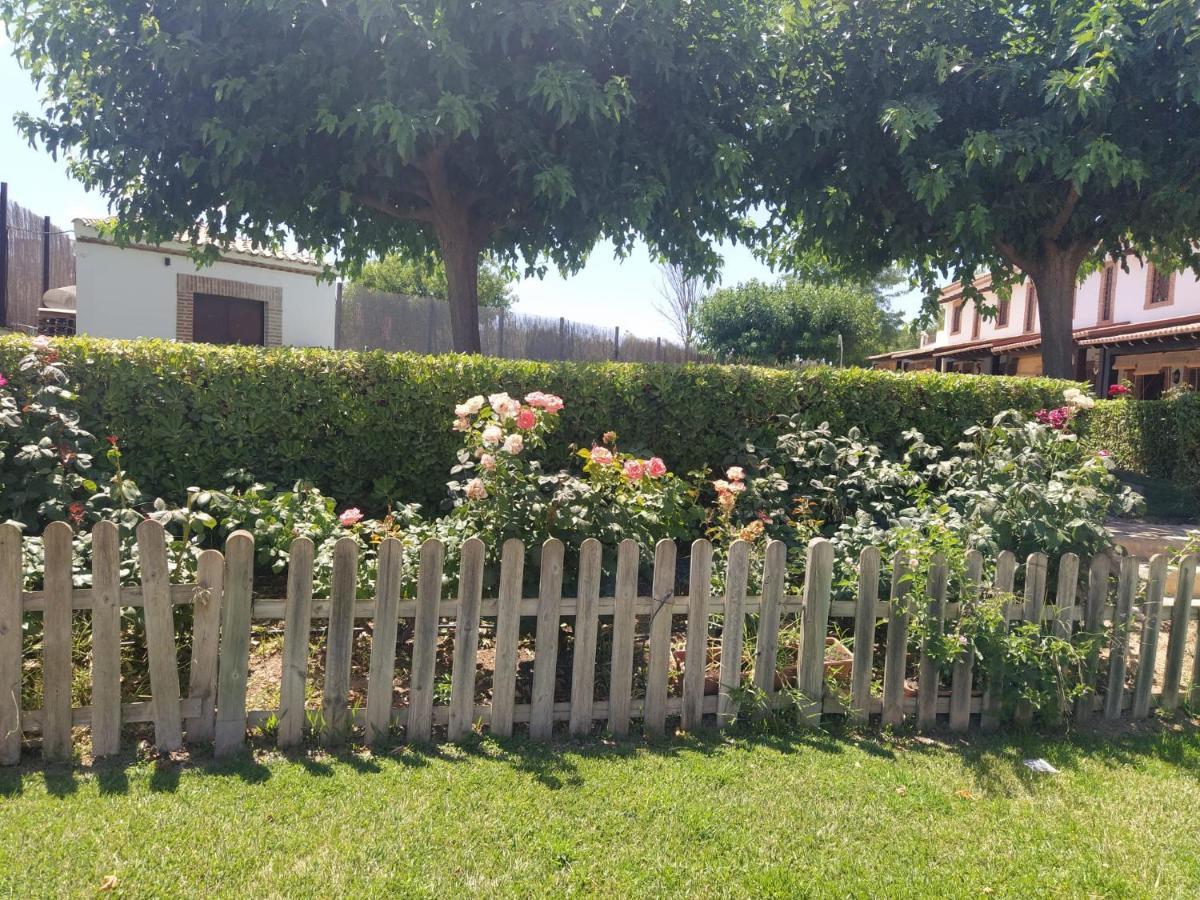 Casa Rural Alamillo Luque Kültér fotó