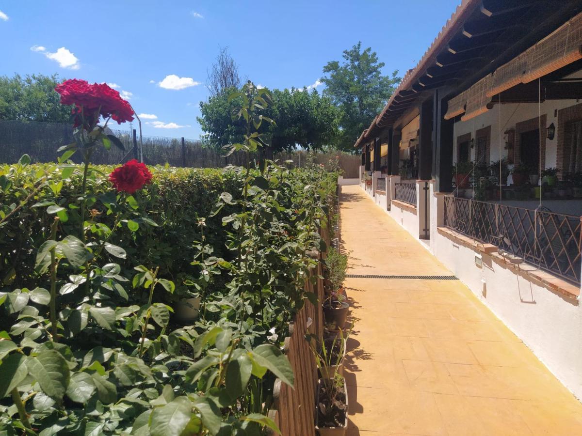 Casa Rural Alamillo Luque Kültér fotó